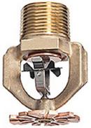 Tyco Natural Brass 3/4 in. 165F16.8K Pendent Sprinkler and Quick Response Sprinkler Head 