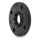 4 in. Flanged Ductile Iron Blind Flange