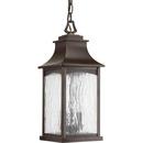 60W 2-Light Outdoor Hanging Lantern in Oil Rubbed Bronze