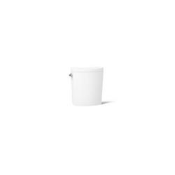 1.0 gpf/1.6 gpf Dual Flush Toilet Tank in White
