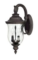 20-1/2 in. 60W 2-Light Candelabra E-12 Base Outdoor Wall Sconce in Old Bronze
