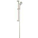 GROHE Brushed Nickel Infinity Finish&trade; Dual Function Hand Shower 