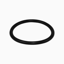 Tailpiece O-Ring