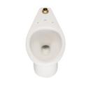 Zurn White Elongated Toilet Bowl 