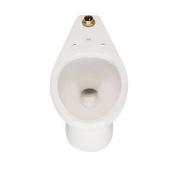 Elongated Toilet Bowl in White
