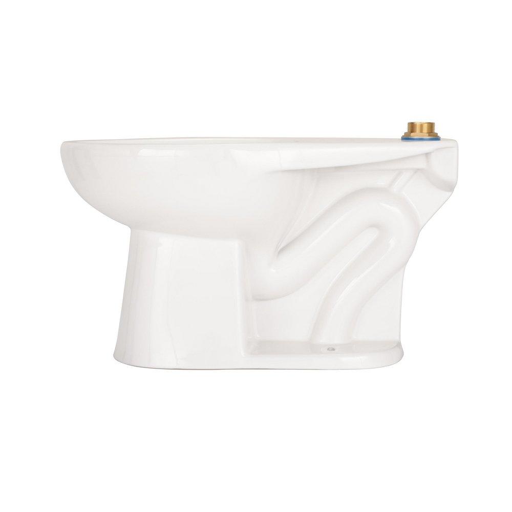 Zurn White Elongated Toilet Bowl 