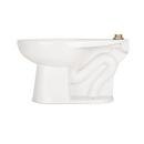 Zurn White Elongated Toilet Bowl 