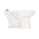 Zurn White Elongated Toilet Bowl 