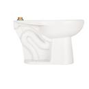 Zurn White 1.1 gpf Elongated Floor Mount Two Piece Toilet Bowl 