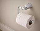 Moen Polished Chrome Wall Mount Toilet Tissue Holder 