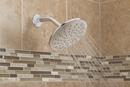 Moen Chrome Single Function Showerhead 