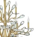 Fredrick Ramond Champagne Gold 60W 9-Light Candelabra E-12 Chandelier 