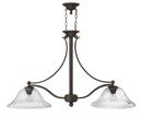 Olde Bronze *CVR* OLBR 44.25X26.5 2-100W MED 