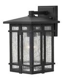 100W 1-Light Outdoor Wall Sconce in Museum Black