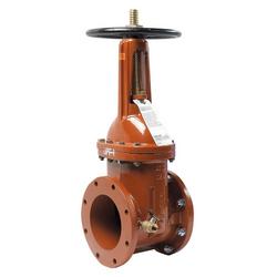3 in. Flanged OS&Y Resilient Wedge Gate Valve