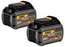 DEWALT Yellow/Black Battery 2 Pack 