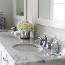 Speakman Polished Chrome Widespread Bathroom Sink Faucet with Double Sculpted Handle 