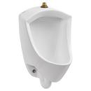 Washout Urinal with Top Spud in White