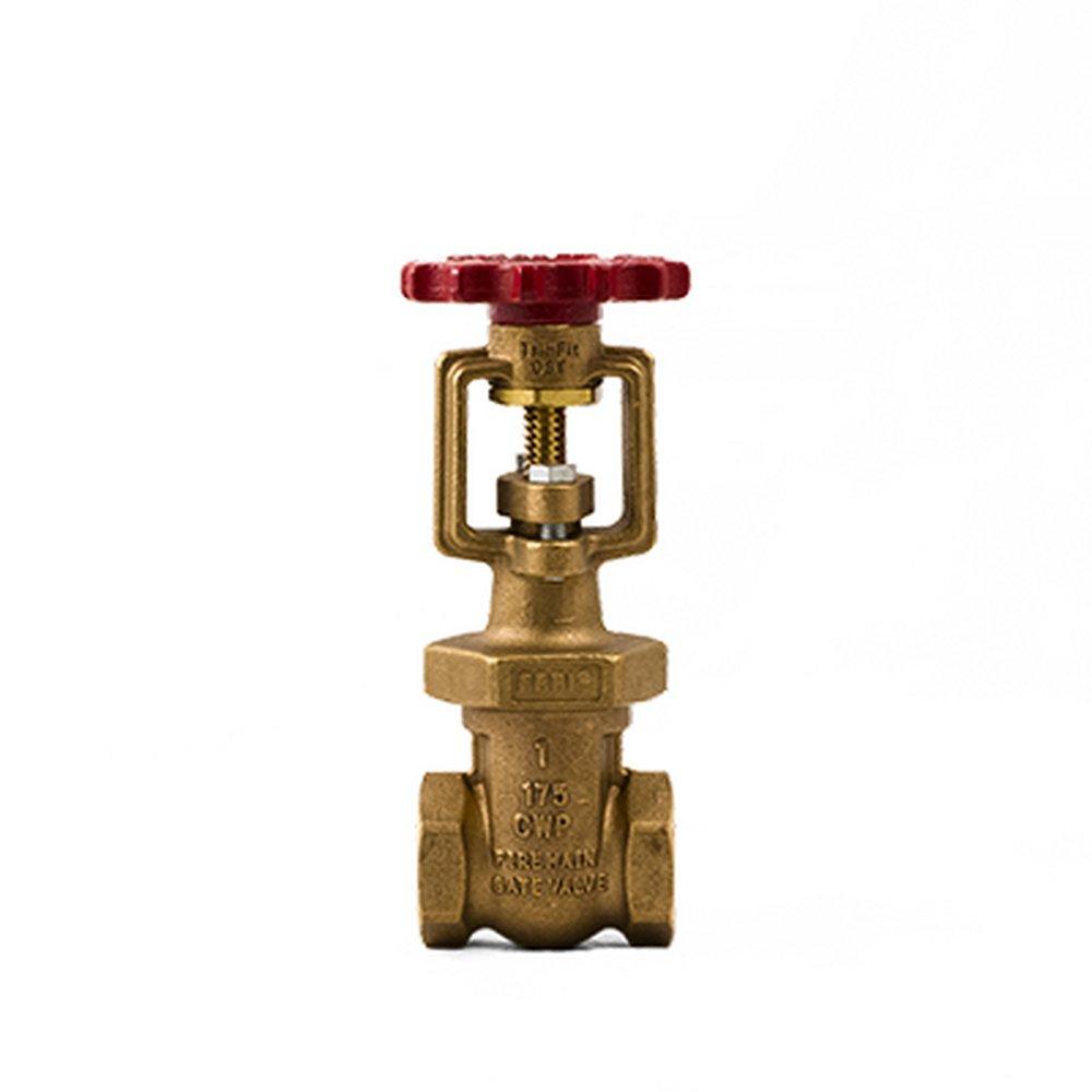 FPPI&reg; Red Bronze FIPT Gate Valve 