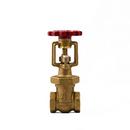 FPPI&reg; Red Bronze FIPT Gate Valve 