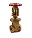 FPPI® Red Bronze FIPT Gate Valve 
