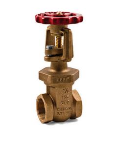 1 in. Bronze FIPT Gate Valve