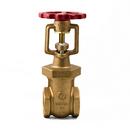 2 in. Bronze IPS Gate Valve