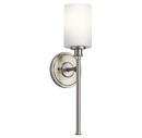 30W 1-Light Bath Vanity Light in Brushed Nickel