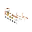 Rheem Thermal Expansion Valve Kit 