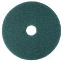 20 in. Buffing Pad in Blue (Case of 5)
