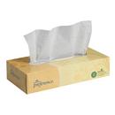 Georgia-Pacific White Facial Tissue in White (Case of 30) 