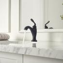 Pfister Tuscan Bronze Single Handle Monoblock Bathroom Sink Faucet 