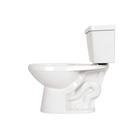 Zurn White 1.28 gpf Elongated Two Piece Toilet 