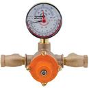 Powers Rough Bronze NPT Tempering Valve with Cold Water ByPass 