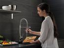Delta Faucet Chrome Single Handle Pull Down Kitchen Faucet 