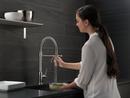 Delta Faucet Chrome Single Handle Pull Down Kitchen Faucet 