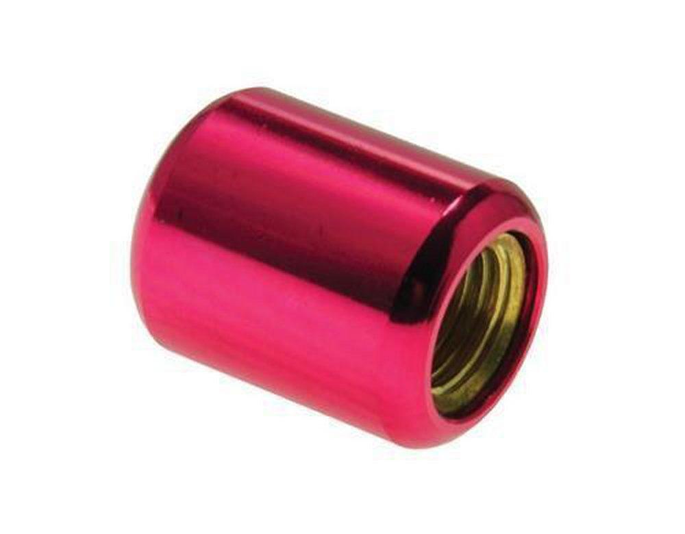 Rectorseal Pink R-410 Locking Refrigerant Cap in Pink 2 Pack 