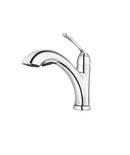 Pfister Polished Chrome Single Handle Pull Out Kitchen Faucet 