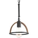 Progress Lighting Gilded Iron 14-3/4 in. 60W 1-Light Medium E-26 Base Mini Pendant 