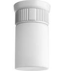 Quorum International Studio White 8-1/2 in. 60W 1-Light Ceiling Light 