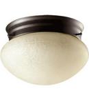 Quorum International Oiled Bronze 4-1/2 in. 1-Light Ceiling Light 