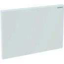 Geberit Matte Chrome Cover Plate 