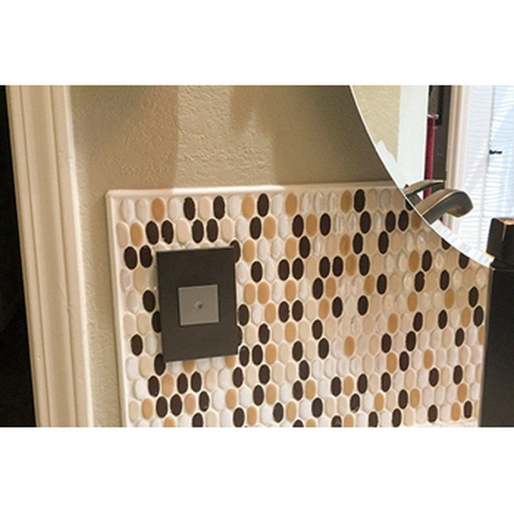 Pass & Seymour Bronze 1-Gang Wall Plate 