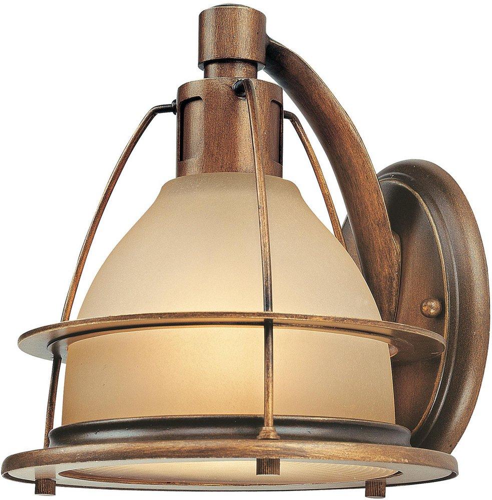 Pass & Seymour Bronze 1-Gang Wall Plate 