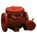 United Water Products Epoxy Coated Cast Iron Flanged Check Valve 