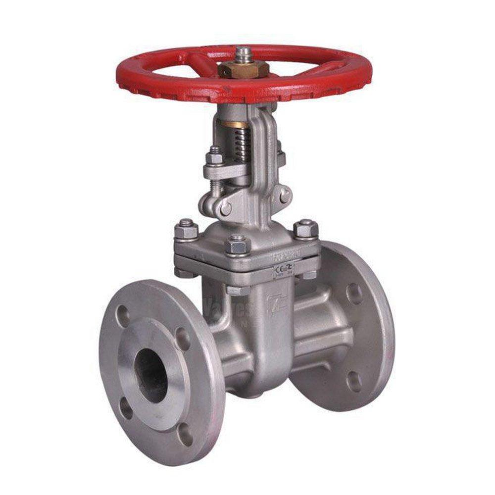 Ta Chen Stainless Steel Flanged Gate Valve 