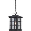 15 in. 1-Light 100W Outdoor Hanging Lantern in Mystic Black
