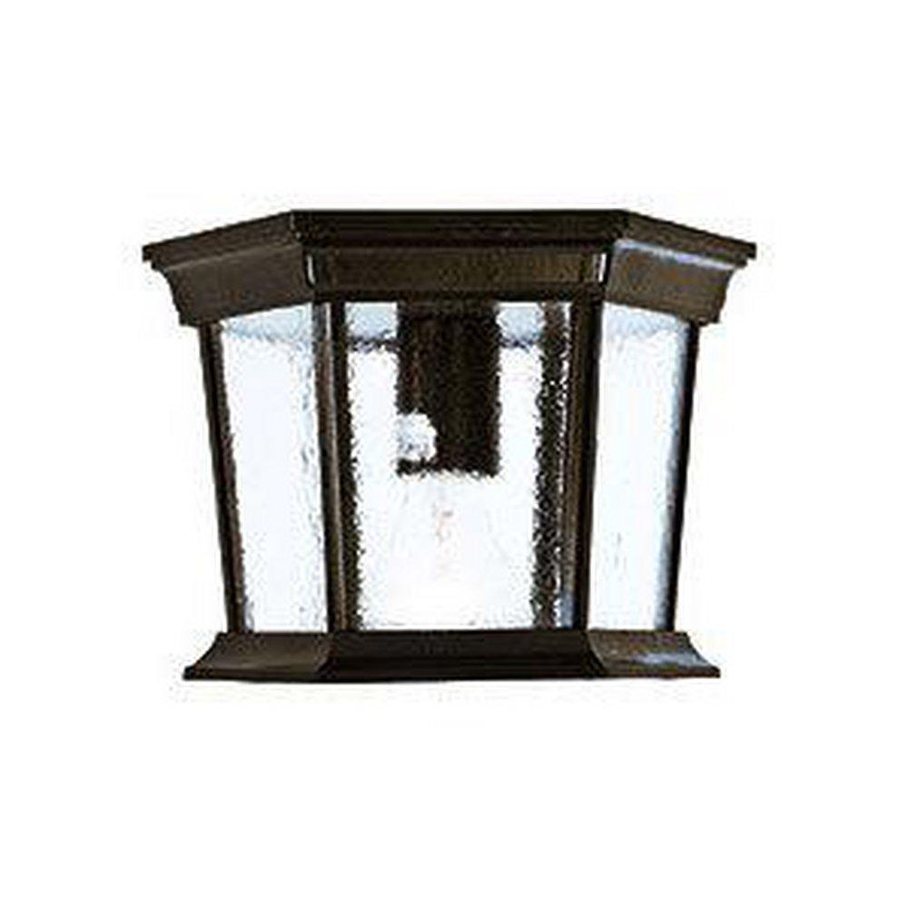 Acclaim Lighting Burled Walnut 1-Light Outdoor Ceiling Light 