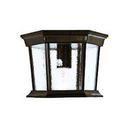 Acclaim Lighting Burled Walnut 1-Light Outdoor Ceiling Light 