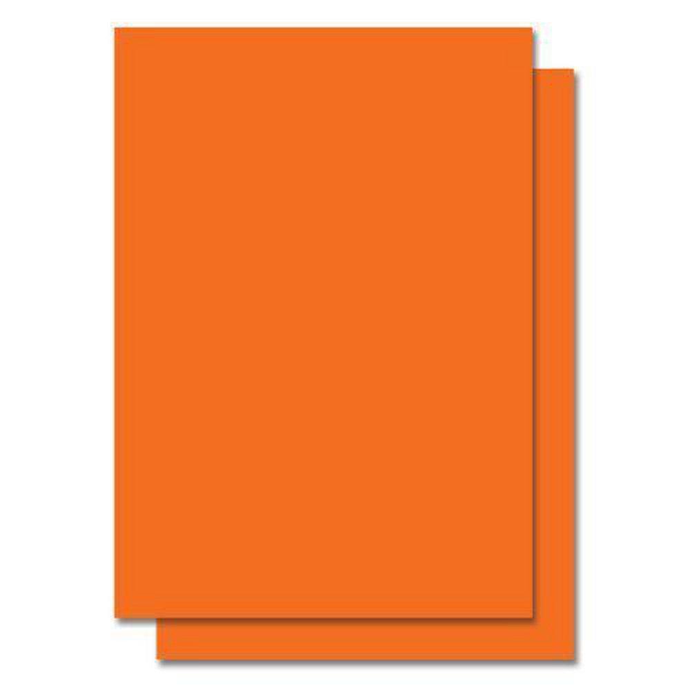 Zebra Technologies Orange 6 in Direct Thermal Label (1000 Labels per Roll) 